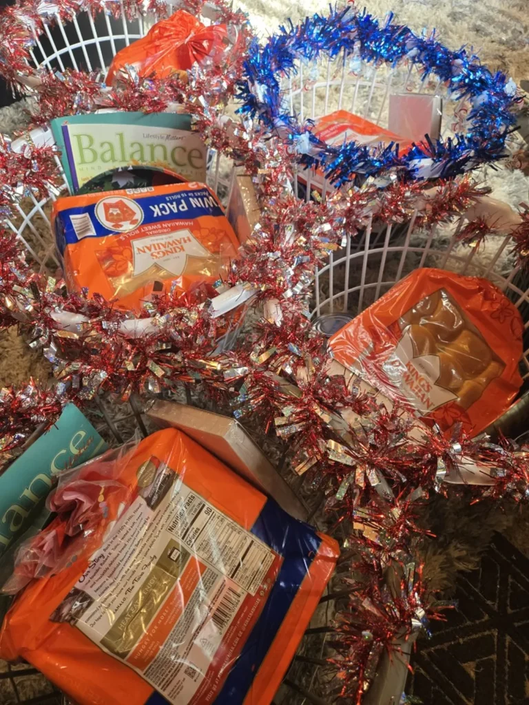 Memory Layne Global Mission - Holiday mission baskets to encourage others